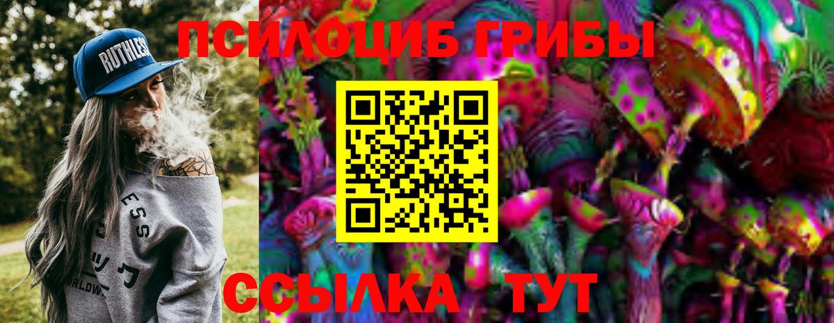 Галлюциногенные грибы Magic Shrooms  Вход с VPN  Орск  Галлюциногенные грибы Psilocybe 